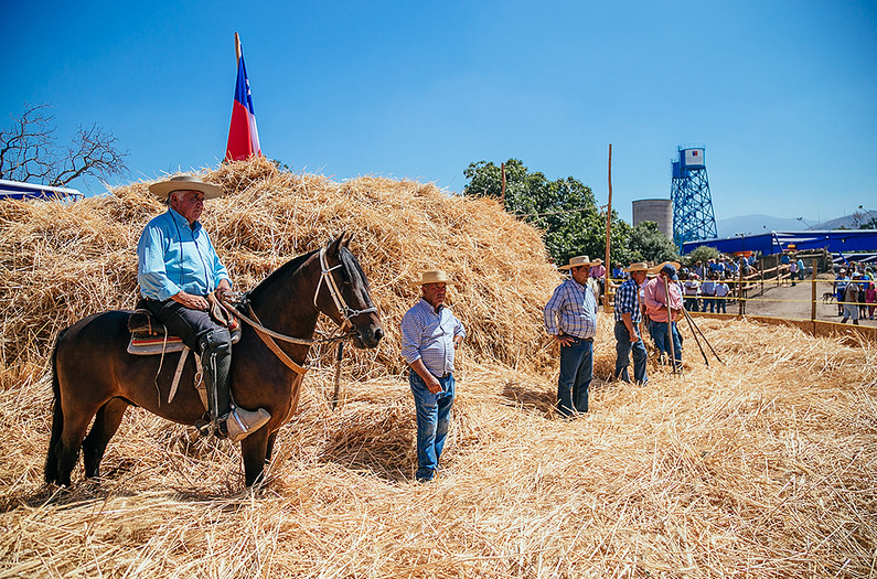 La Trilla a Yegua Suelta, una fiesta que celebra las costumbres del campo