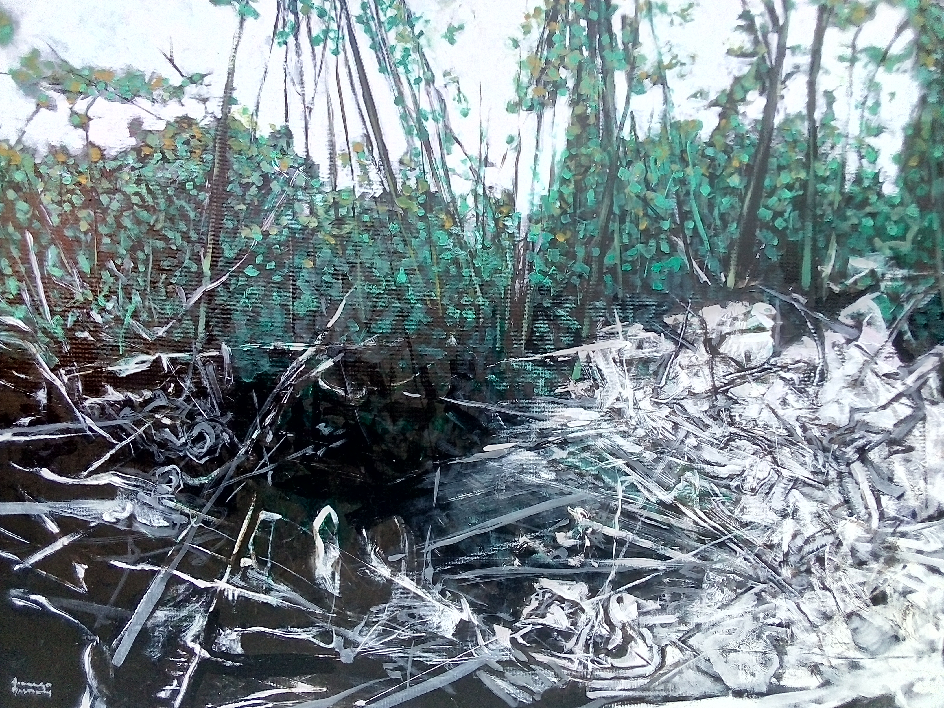 La exposición «Pulso de Agua» presenta el cambio del paisaje natural tras la huella humana