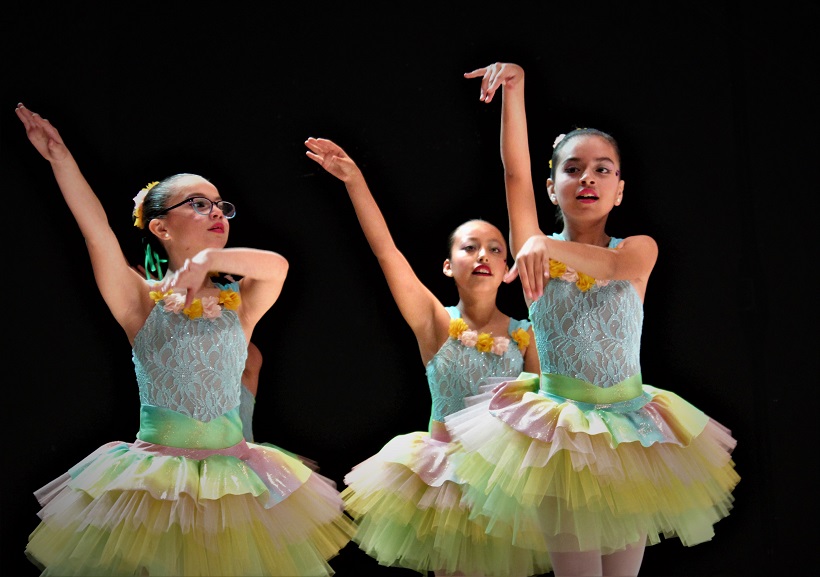 Bailes y Danza