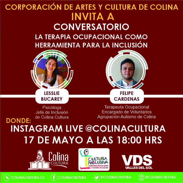 La Terapia Ocupacional como herramienta de inclusión