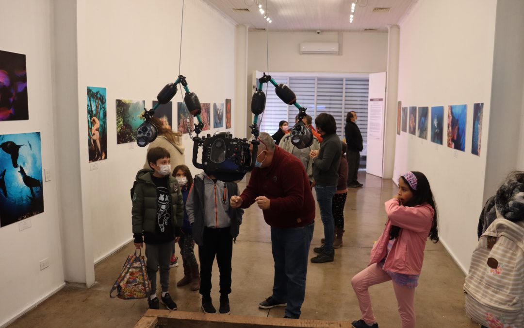 Nuevas exposiciones en nuestro Centro Cultural de Colina