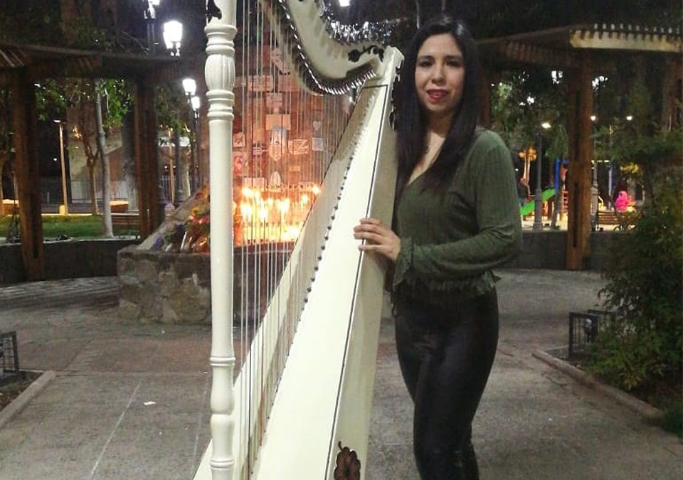 Corporación de Artes y Cultura de Colina apoya a nuestros artistas