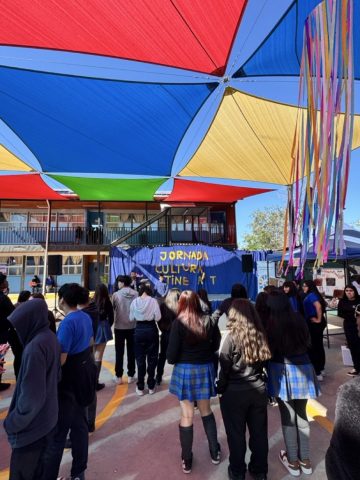 IMG_7477 de tamaño grande