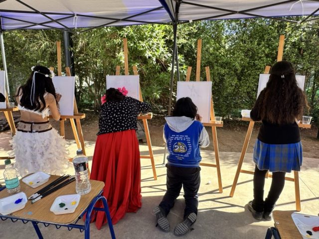 IMG_7481 de tamaño grande