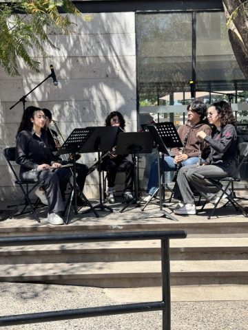 IMG_7755 de tamaño grande