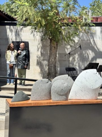 IMG_7768 de tamaño grande