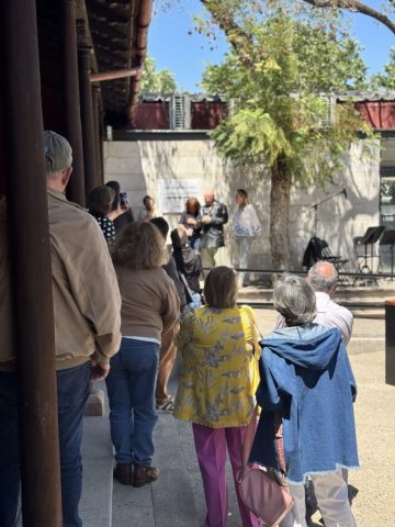 IMG_7787 de tamaño grande